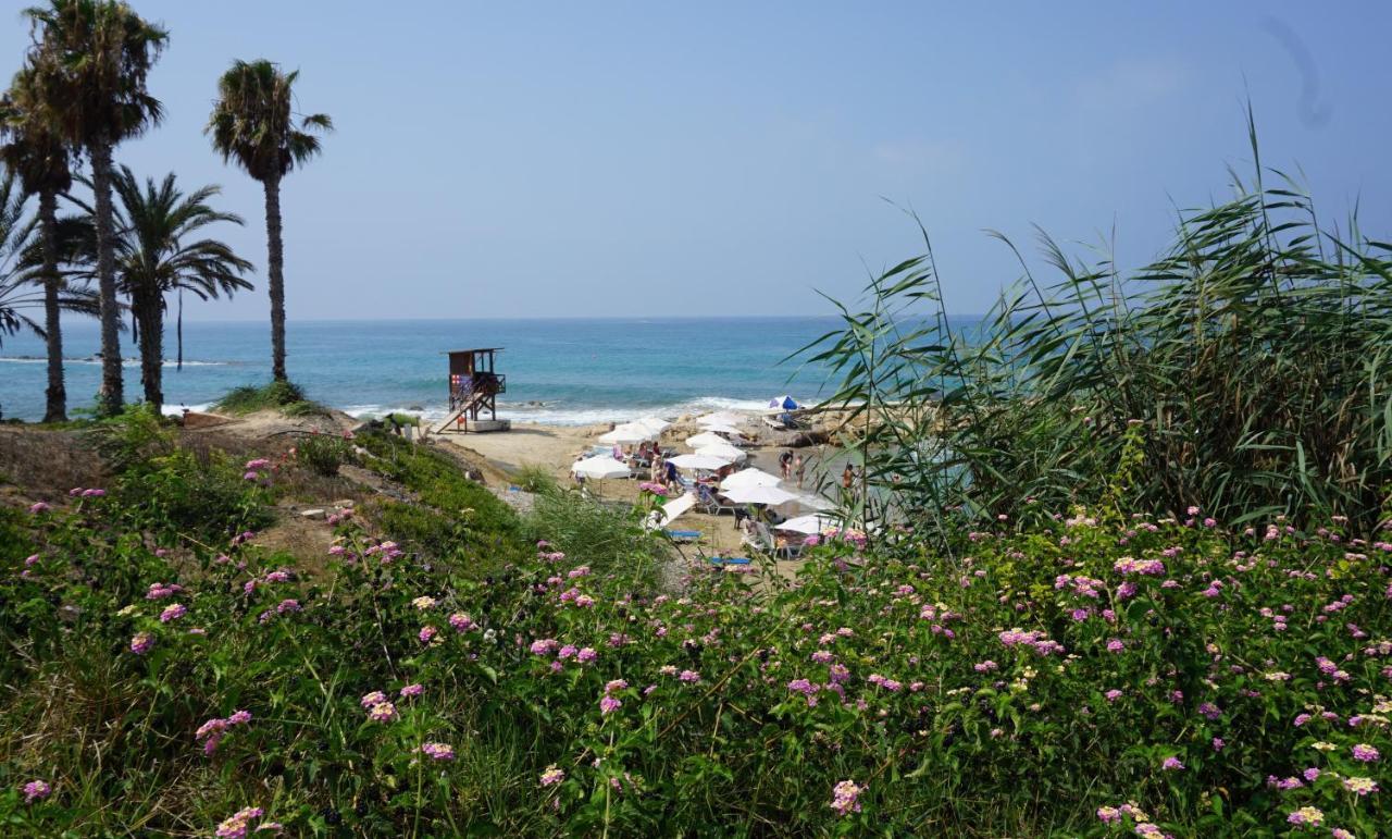 Paphos Gardens, Near Beach エクステリア 写真